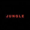 Drake ~ Jungle Acapella Cover Mp3