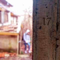 17