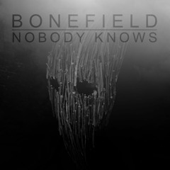 Nobody Knows