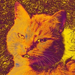 Miss Kittn Blue Grass (satter verliebter Rmx)