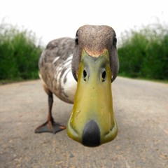 Tell me what you hear