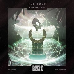 DANK028 - Pushloop - White Magic (Original Mix) [OUT NOW!]