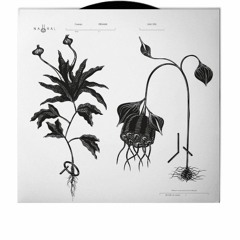 Cosmjn, Organik EP [NAU006]