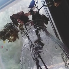 tear drop ballad「ғᴛ grisfx」