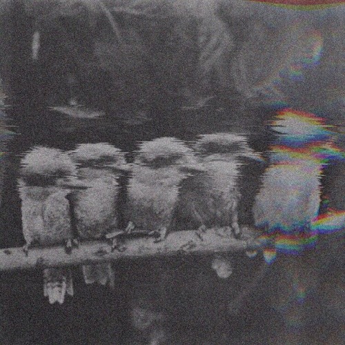 INSTINCT ESCAPE - Loner