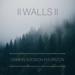 WALLS - DAMON ADDISON II HORIIZON