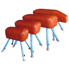 Poltre - Jay Soaring (Von Lengerich Arrangement 01a8)