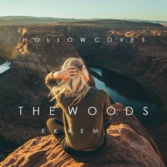 Hollow Coves - The Woods (EK Remix)