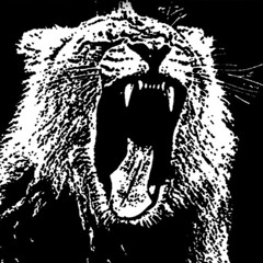 Martin Garrix - Animals (Flitser Remix)