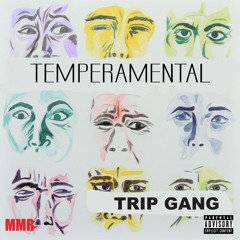 Trip Gang - Temperamental