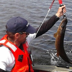 BluesOvertookMe (1).MP2