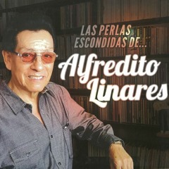 Lo Mejor De Mi Vida - Alfredito Linares
