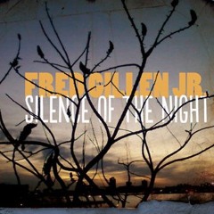 Silence Of The Night