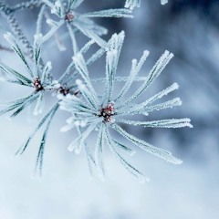 Winter Experience Vol.1 Mix by Nomatic