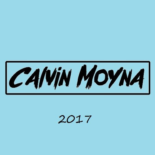 2017