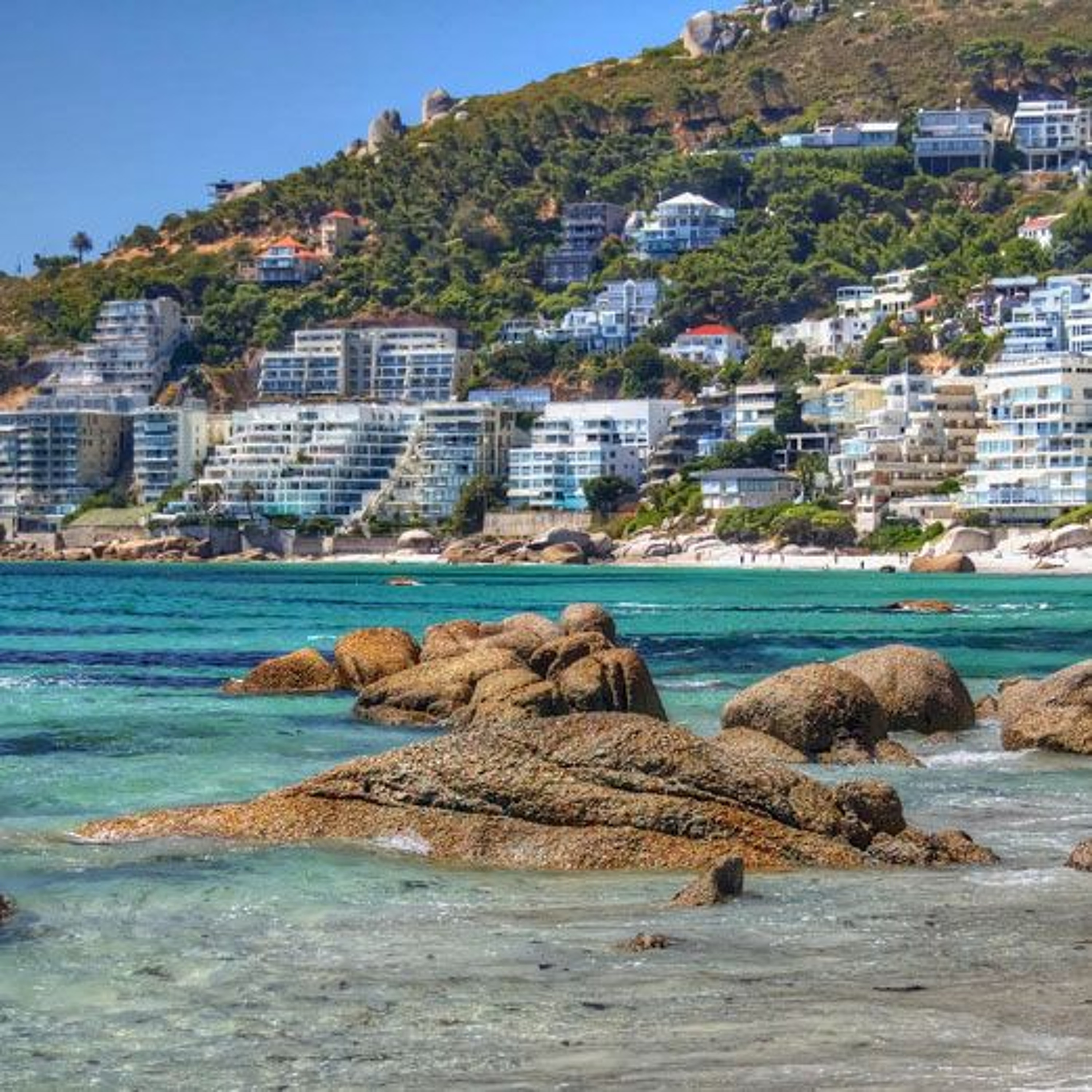 Occupying Clifton Beach is rather stupid by Caller Gregory from Elsies River episode artwork