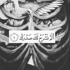 ألم نشرح لك صدرك_تلاوة رائعة جداً 💚~