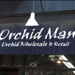 orchid man