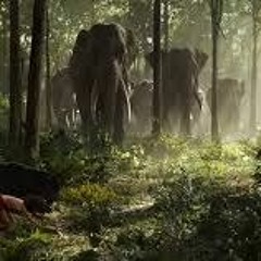 ICE D Gotchains - JUNGLE