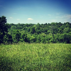 You're Not Going Home