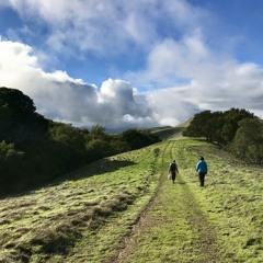 Landscape Of Your Dreams