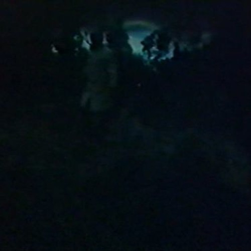 i got lost at the aquarium