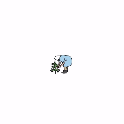 Howaito ホワイト By Iweary Free Download On Toneden
