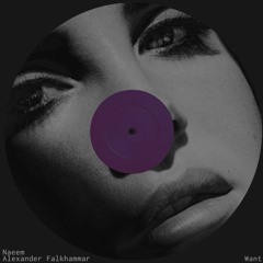 Naeem X Alexander Falkhammar - Want (Original Mix)