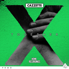 Cazzette & Ed Sheeran - Don't Together (Djürpen Mashup)