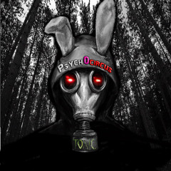 Psychocircus Intro