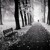Artwork for Moving On - Kodaline