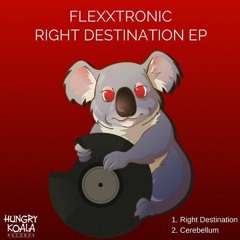 Right Destination (Original Mix)- {preview SoundCloud}