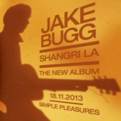 Simple Pleasures l Jake Bugg l Vocal Cover