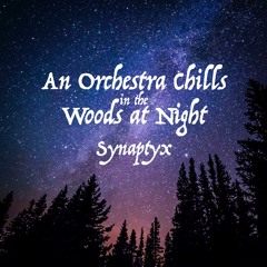 An Orchestra Chills In The Woods at Night