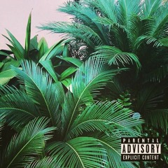 GORWLA ! 🦍⚡️ FT RICO  - ELEVATE