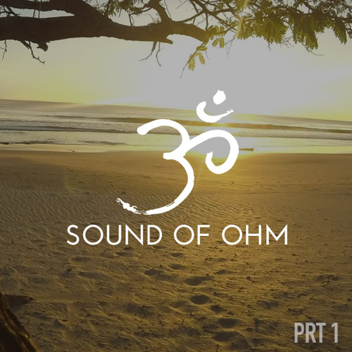 Ohm Do It Yourself