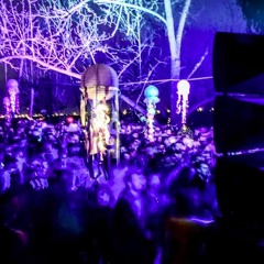 Yehuda Narkis Terra day party live Mix