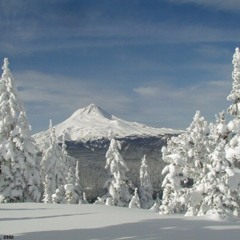 Snowing In A Mountain Forest