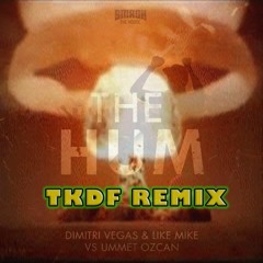 WTF Bum (TKDF Remix)