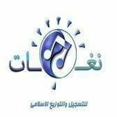 برومو بيت العنكبوت