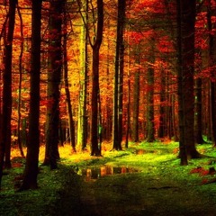 DJ DLT - Irie Vibes In Mendocino