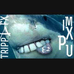 Musical Shark Attack TippaFX in MIX Up 82