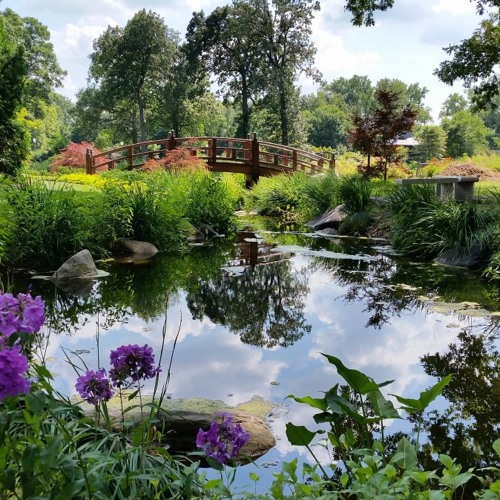 Stream episode Wellfield Botanic Gardens by PocketSights podcast