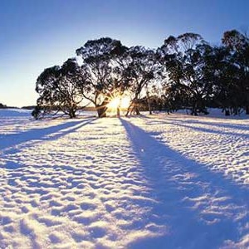 Snowfields [BOTB Winter chip XII]