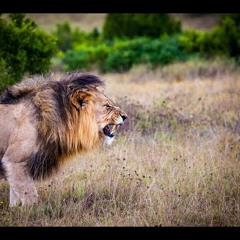 #162 - A História Dos Sikhis