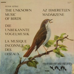 The Unknown Music of Birds