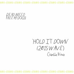 Hold It Down (2015 WAVE)