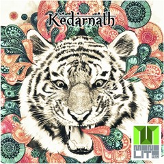 Kedarnath -Cosmonauta(original Mix)