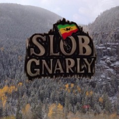 Holding On - Slob Gnarly