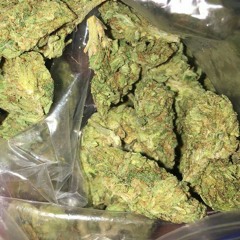 K-9 trappin - lil droopie